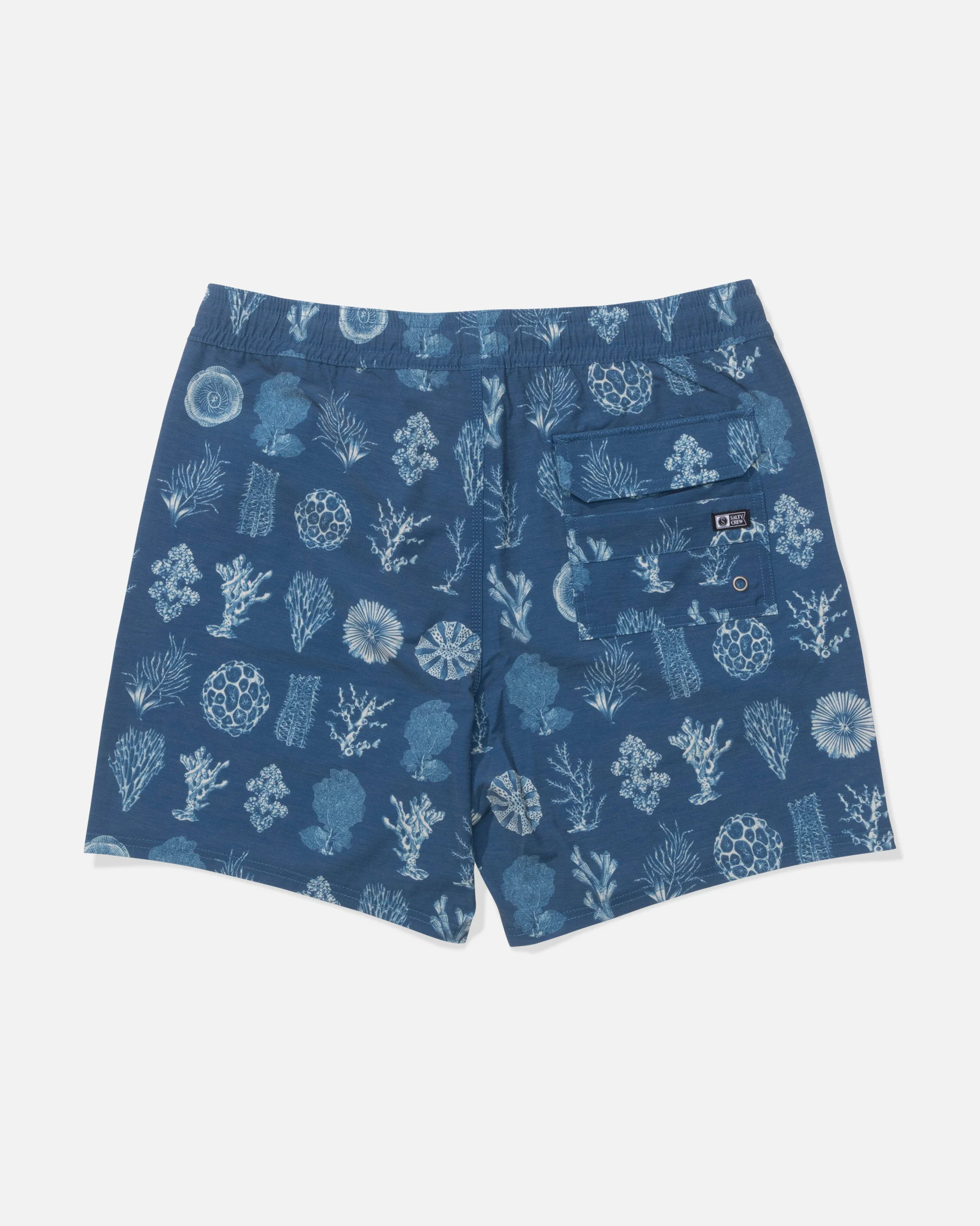 Crew Volley 17" - Cast Blue - Image 2
