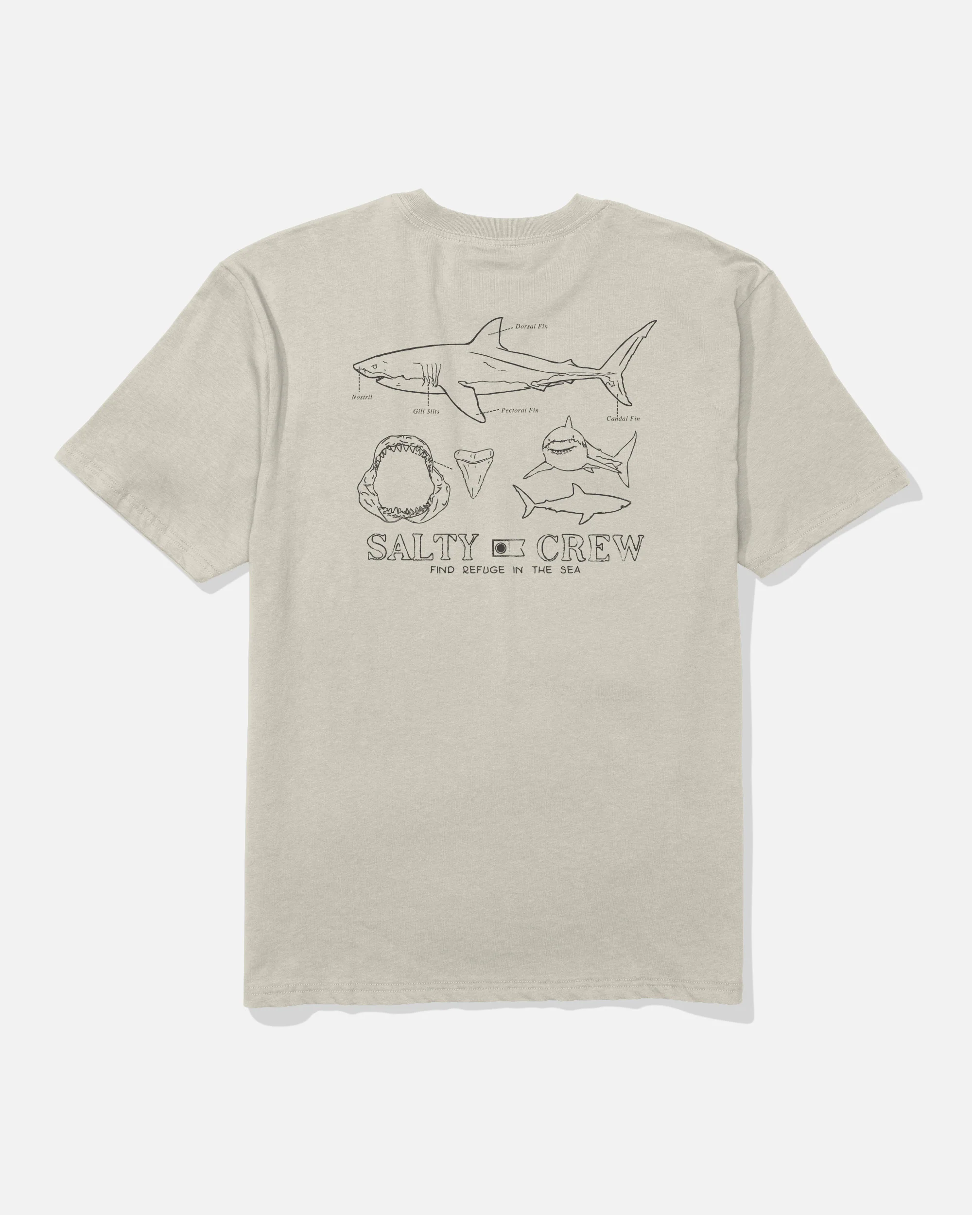 Great White Classic Tee - Bone
